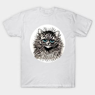 kitten blue eyes T-Shirt